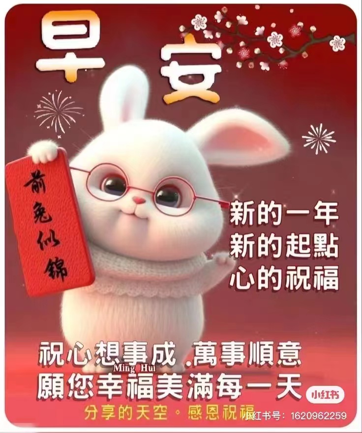 嘉兴DHL快递给大家拜年啦